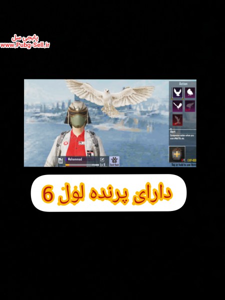 خرید و فروش اکانت پابجی موبایل