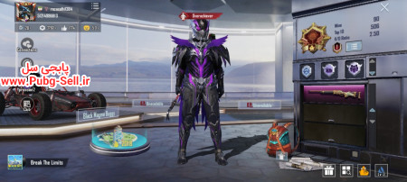 خرید و فروش اکانت پابجی موبایل